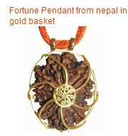 Fortune Rudraksha Pendant