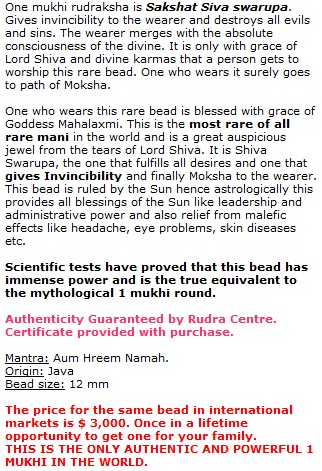One Mukhi Rudraksha Sakshat Siva Swarupa Bracelet