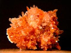 Orange Creedite Collection Pieces