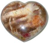 Petrified Wood Puffy Heart