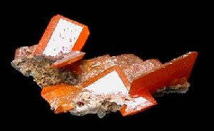 Red Cloud Wulfenite Cluster