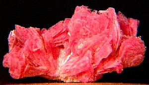 Rhodonite Cluster