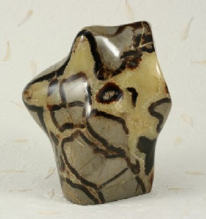 Septarian Nodule Polished Free Form