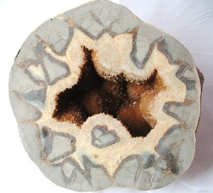 Septarian Nodule Geodes