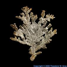 Silver Dendritic Crystals