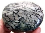 Spider Web Jasper Tumbled