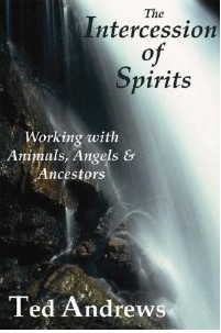Working With Spirits Books