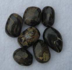 Strombolite Tumbled Pieces