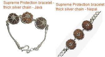 Supreme Protection rudraksha Bracelets