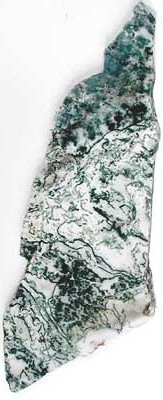 Tree Agate Slabs