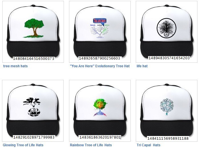 Flower Of Life, Platonic Solids, Healing Hands Hats