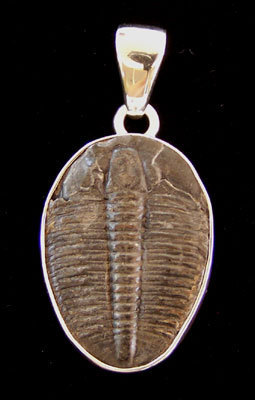 Trilobite Pendants