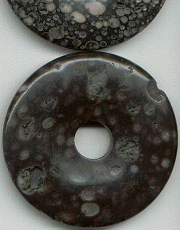 Turitella Agate Fossil Jasper Donut 