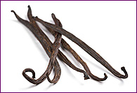 Vanilla Beans