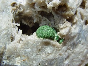 Unusual Variscite Specimens