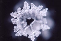 Water Crystal Essences