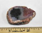 Woodard Ranch Plume Agate