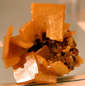 Moroccan Wulfenite Clusters