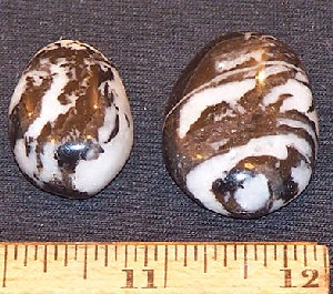 Zebra Jasper Cabochons