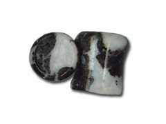 Zebra Stone Plugs