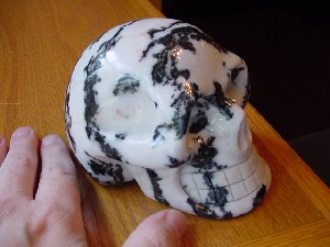 Zebra Stone Skulls