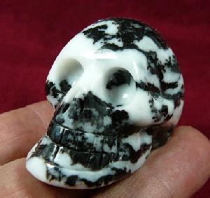 Zebra Stone Skulls