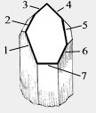 7 Sided And Faced Channeling Crystals