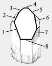 8 Sided Faced Grounding Crystals