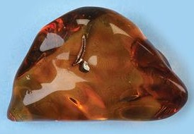 Amber Stones