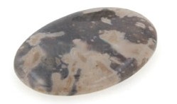 Flint Palm Stone