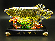 Director's Arowana