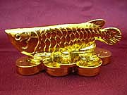 Wealth Generating Golden Arowana