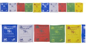 Tibetan Prayer Flag 10 Flaps Best Wishes 