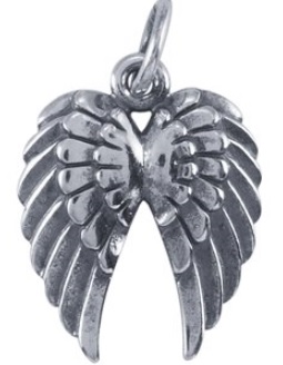 Angel Wing Pendants And Charms