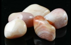 Apricot Agate Tumbled