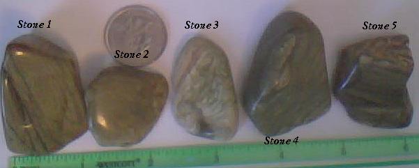 Arizona Lizard Stone Jasper Tumbled Pieces