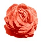 Barite Rose