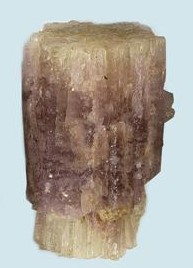 Bi-Color Aragonite 