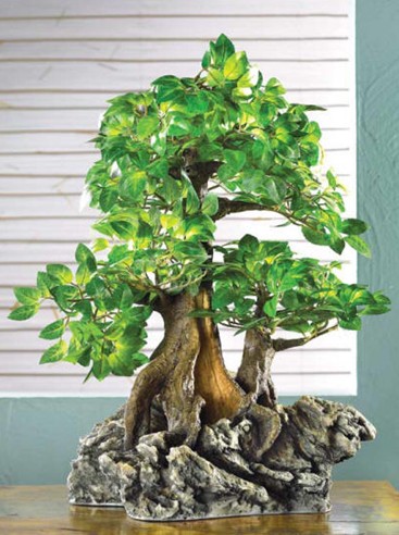 Everlasting Faux Bonsai Tree