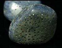 Blue Coral Tumbled Stone