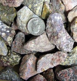 Leopard Skin Jasper Rough