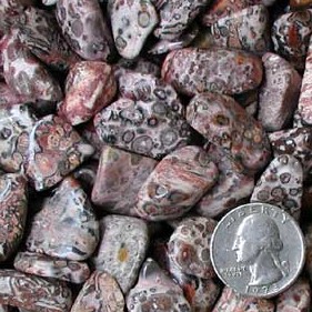 Leopard Skin Jasper Tumbled