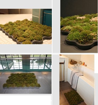 Live Moss Bath MatS