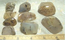 Montana Agates Tumbled