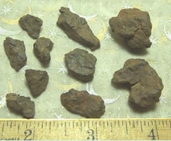 Meteorites from Northwest Africa 