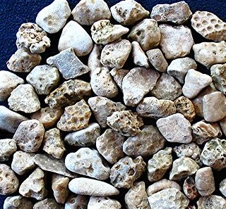 Michigan Petoskey Stone Rough