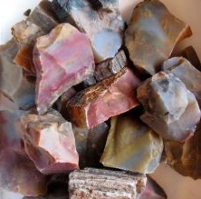 Opalized Petrified Wood Rough