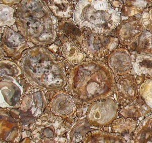 Petrified Wood Tiles