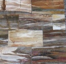 Petrified Wood Tile