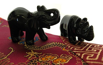Rhinoceros and Elephant 